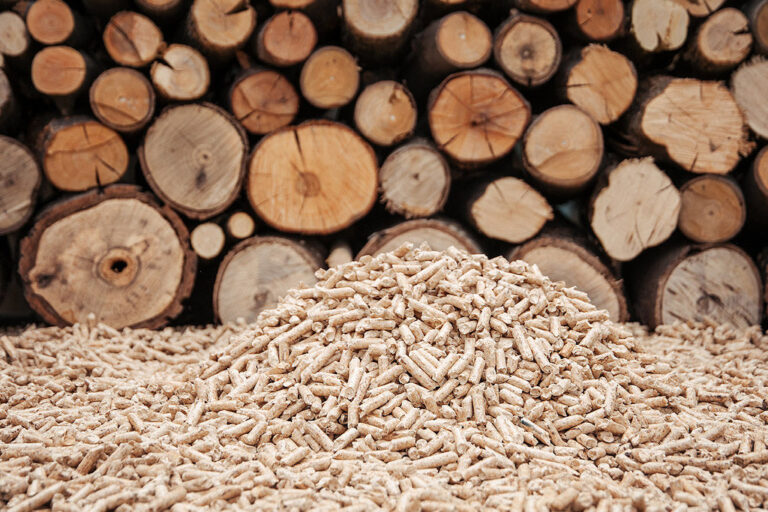 leña y pellets