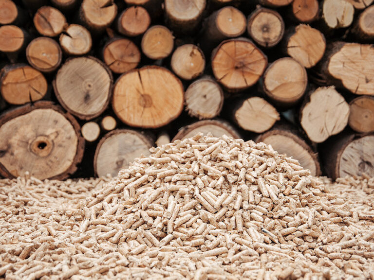 leña y pellets